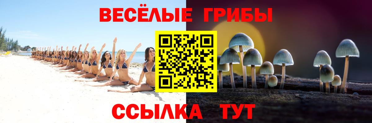 Псилоцибиновые грибы Magic Shrooms  Псилоцибиновые грибы Cubensis  Благодарный  Вход с VPN 